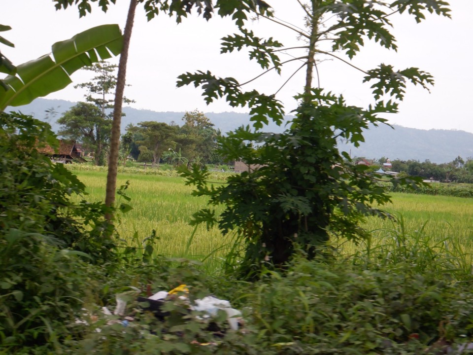 Indonesia - Gondokusuman - 
