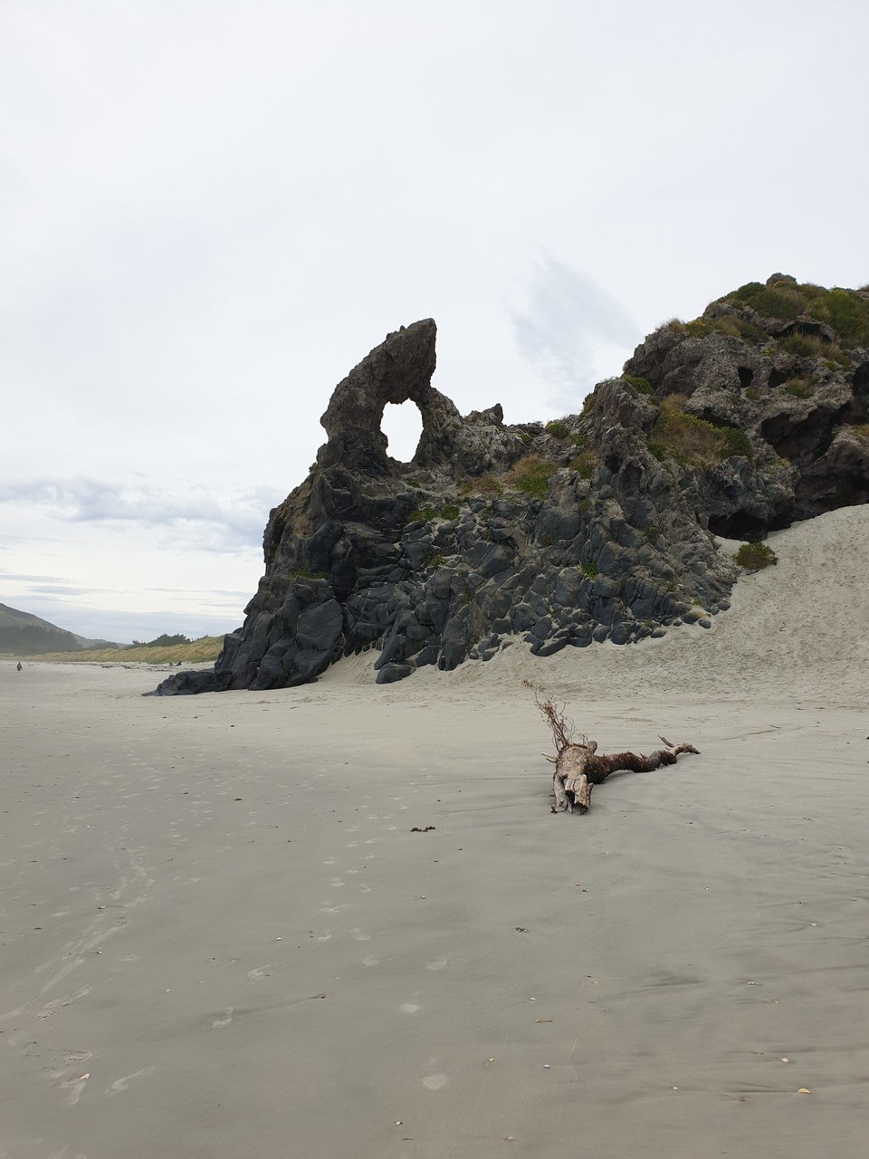 Neuseeland - Dunedin - 