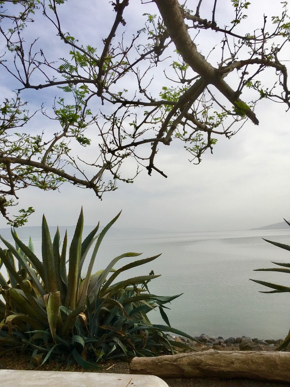 Israel - Kafarnaum - 