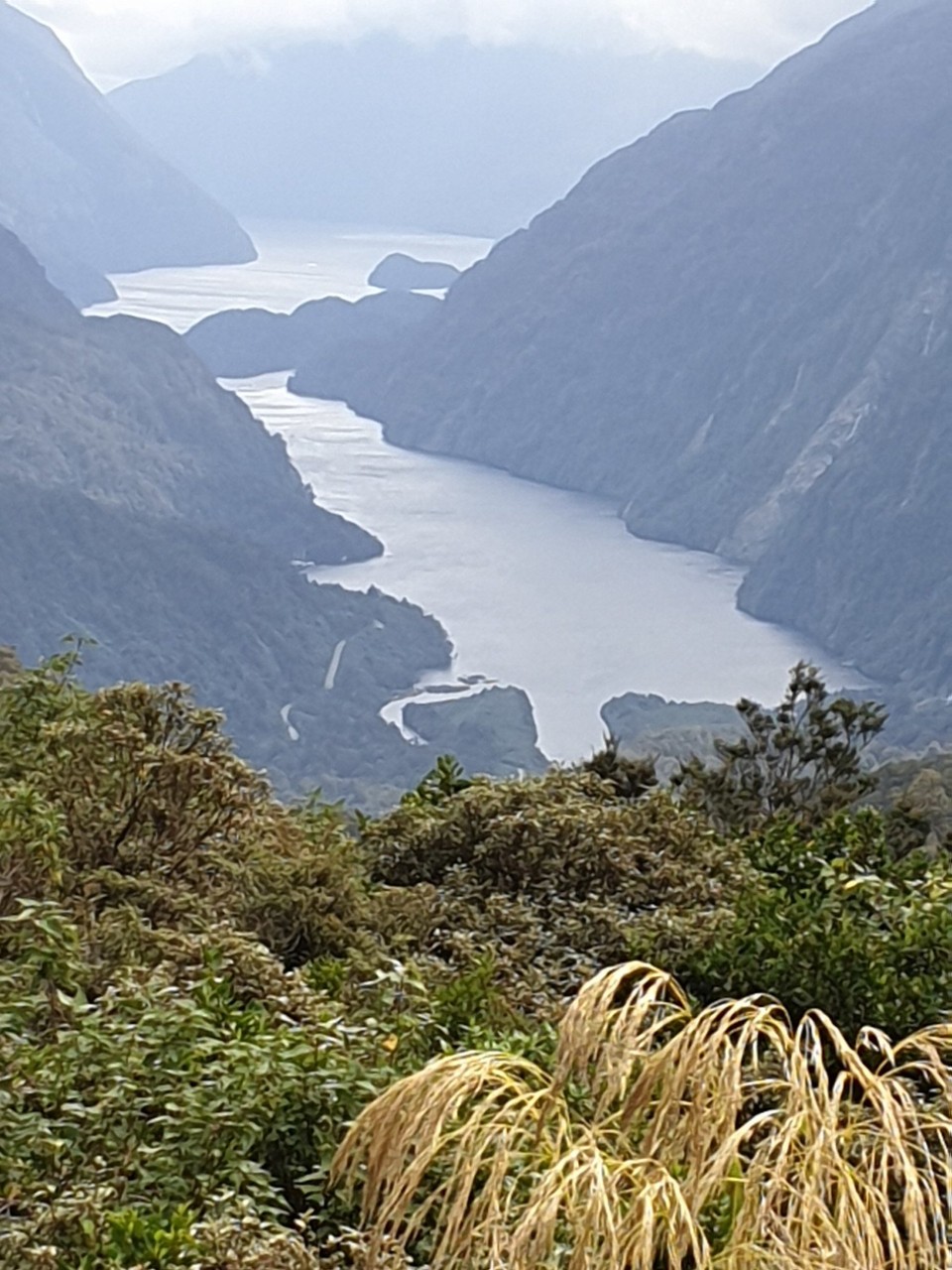 Neuseeland - Doubtful Sound - 