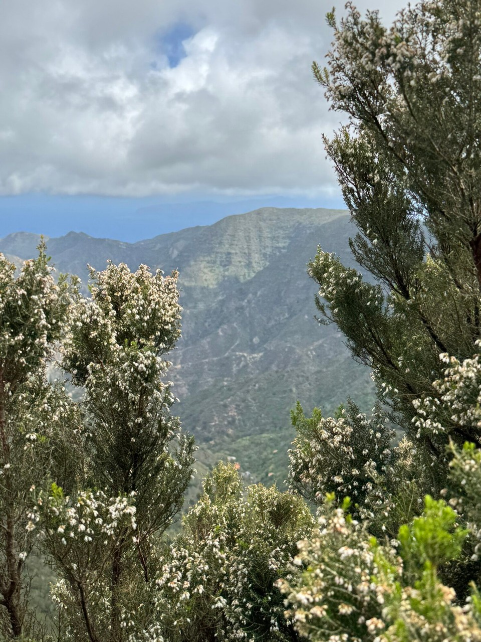 Spanien - San Sebastián de La Gomera - 