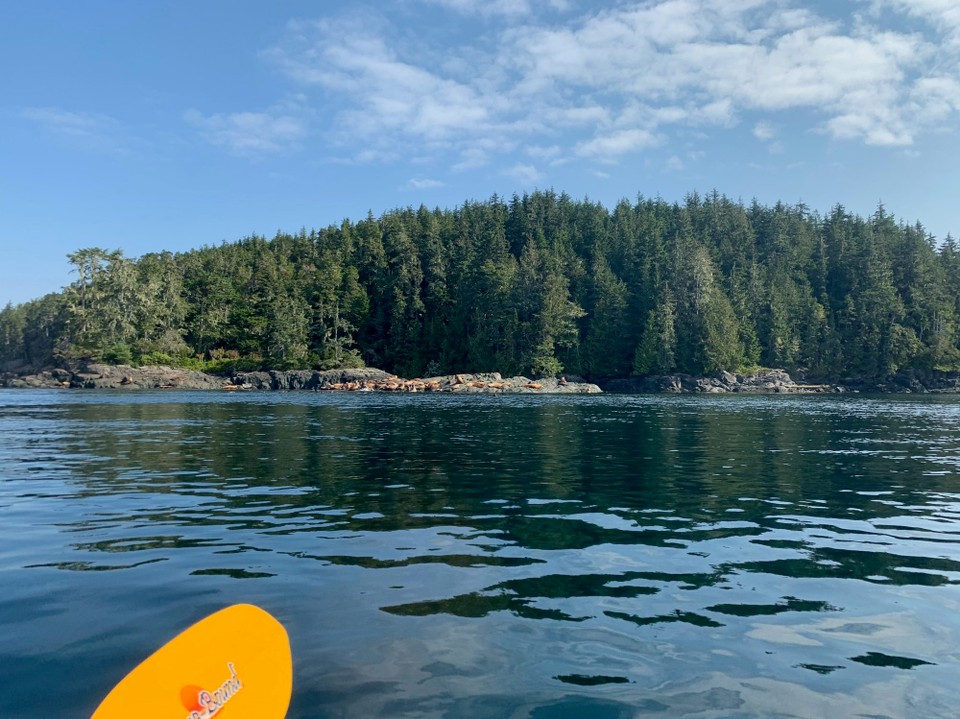 Kanada - Mount Waddington A - 