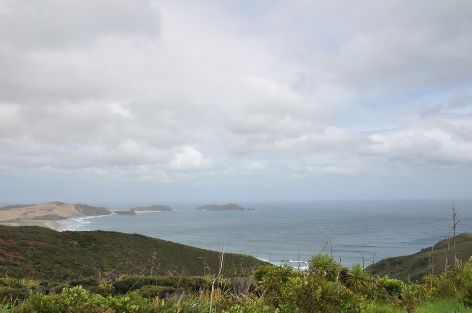 Neuseeland - Mangonui - 