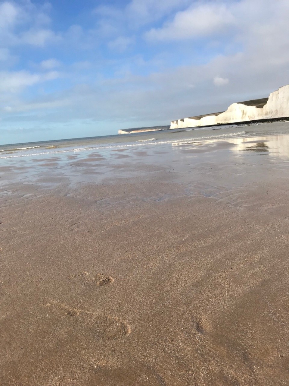 Vereinigtes Königreich - Brighton - 