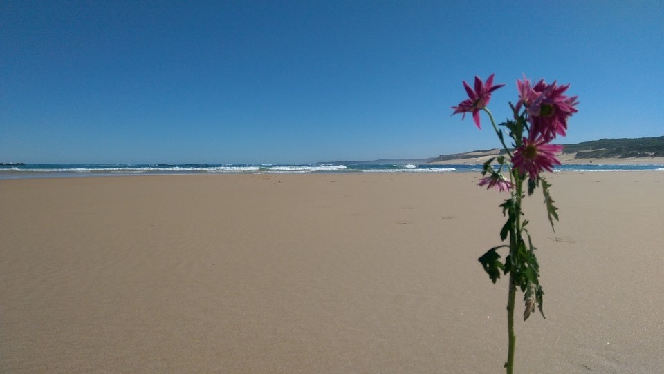 Südafrika - Port Elizabeth - 