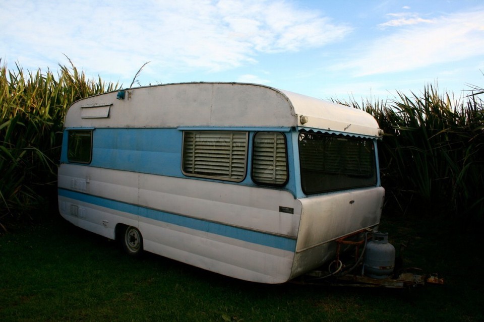 Neuseeland - Catlins - 