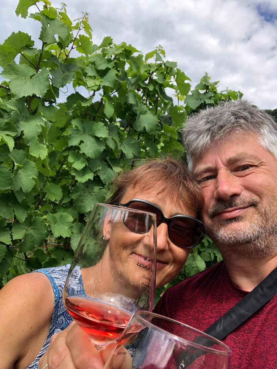 Deutschland - Traben-Trarbach - Im Weinberg unterwegs