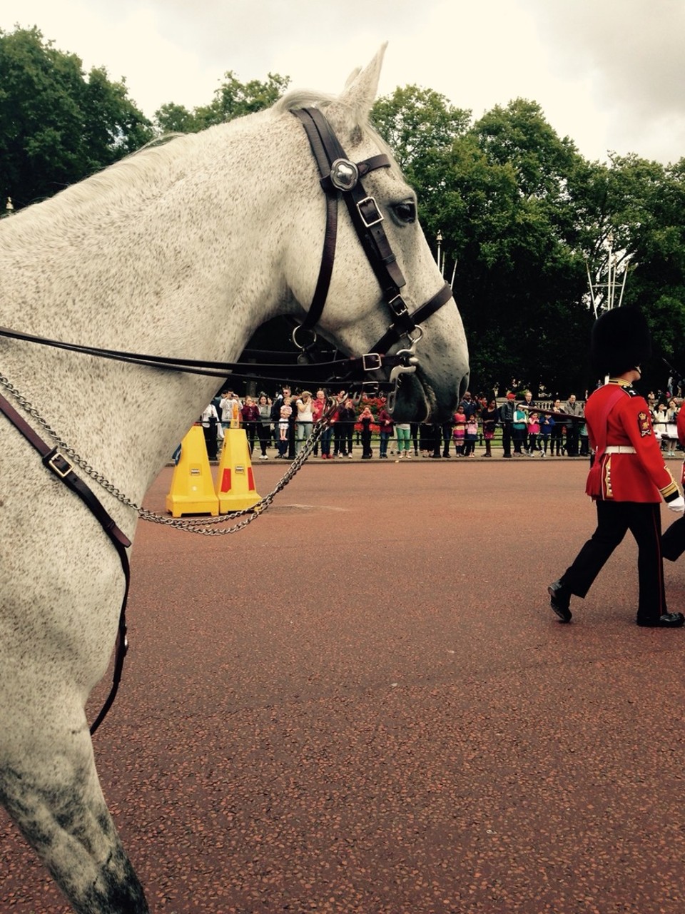 Vereinigtes Königreich - London - 