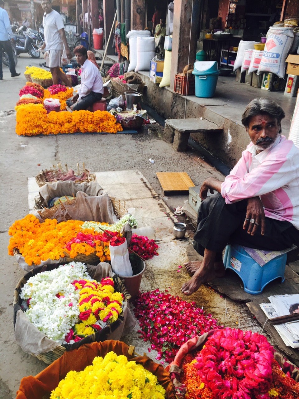 Indien - Jaipur - 