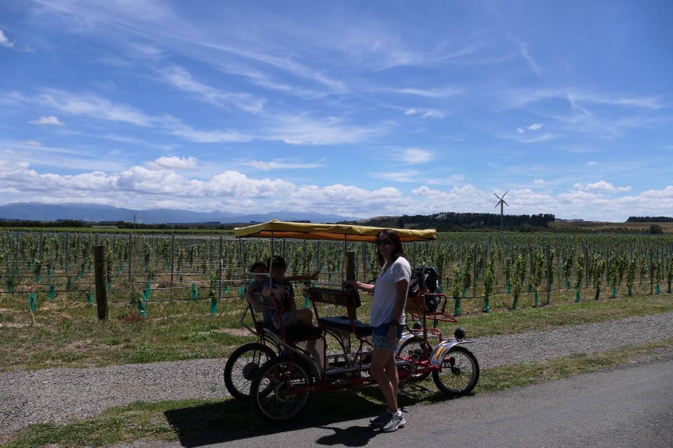 Neuseeland - Martinborough - 