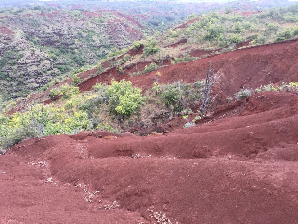 Vereinigte Staaten - Kapaa - Anfang von Waimea Canyon 
