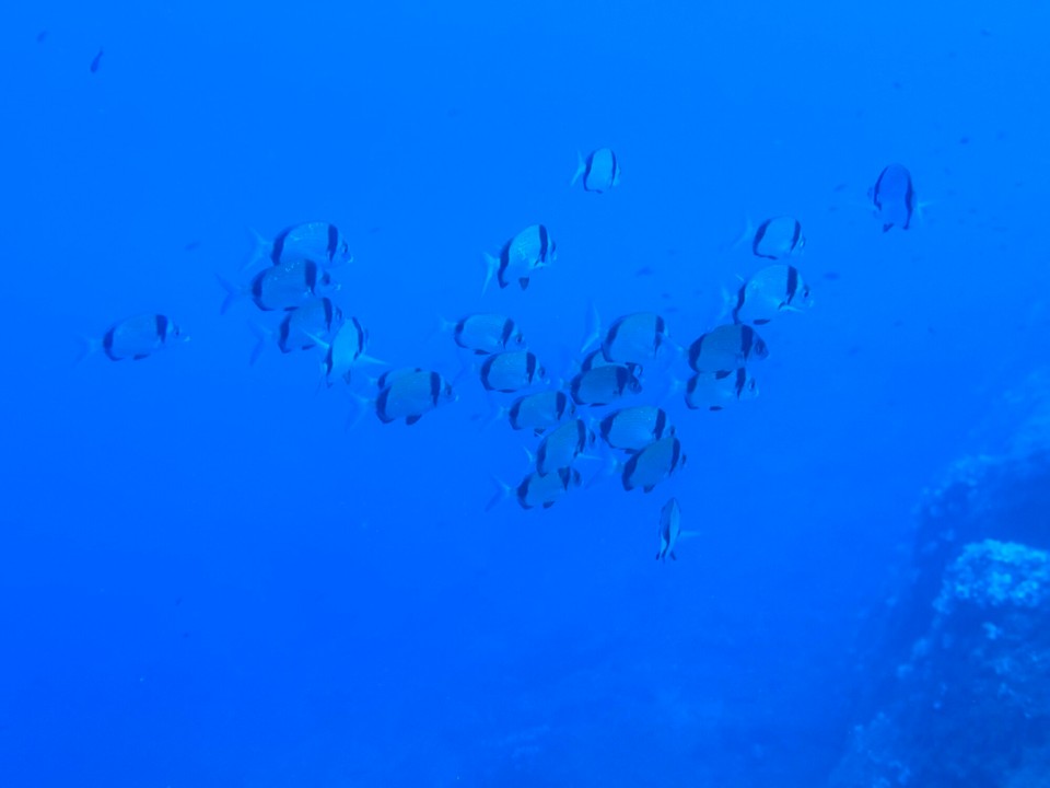 Italien - Porto Azzurro - 