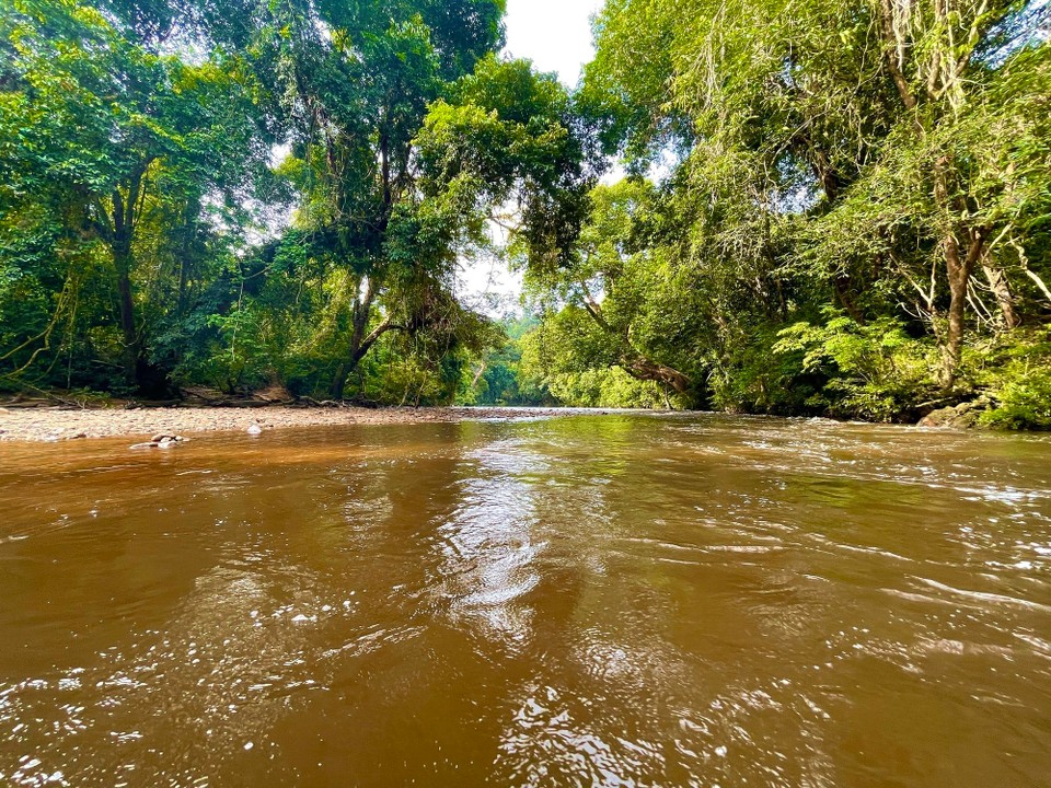 Malaysia - Jerantut - 