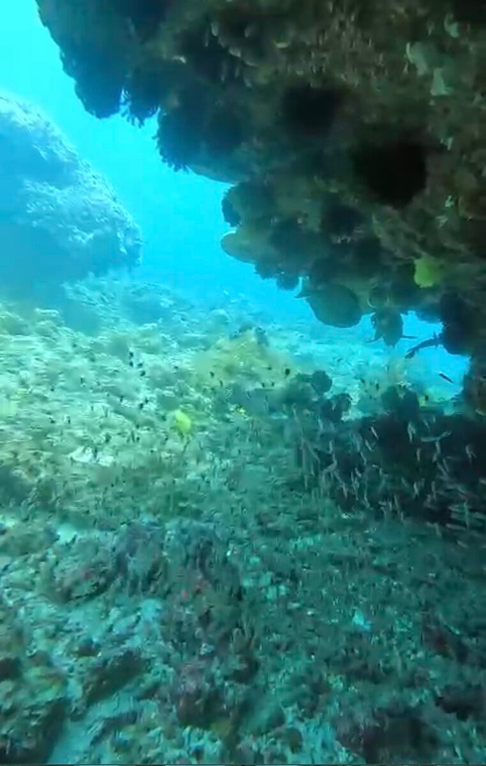 Indonesien - Karangasem - 