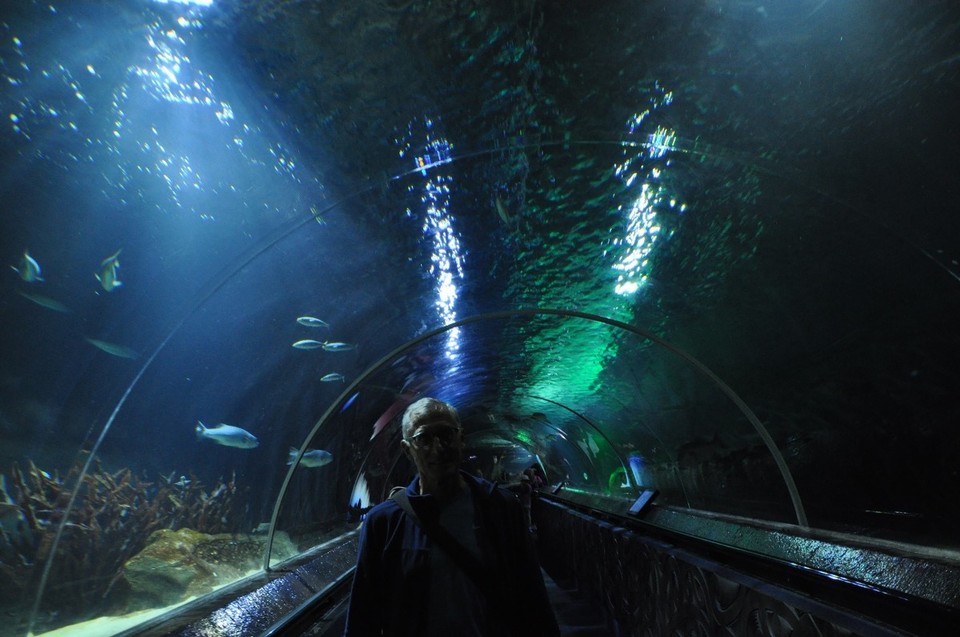 Neuseeland - Auckland - 