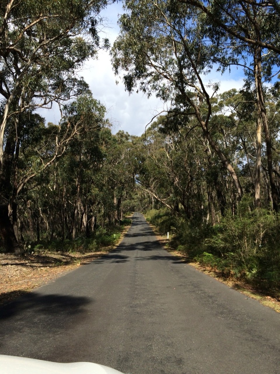Australien -  - 
