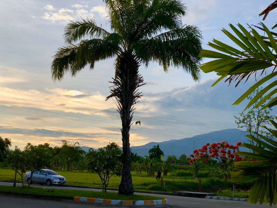 Thailand - Chiang Mai - Ausblick beim Abendessen 🌴