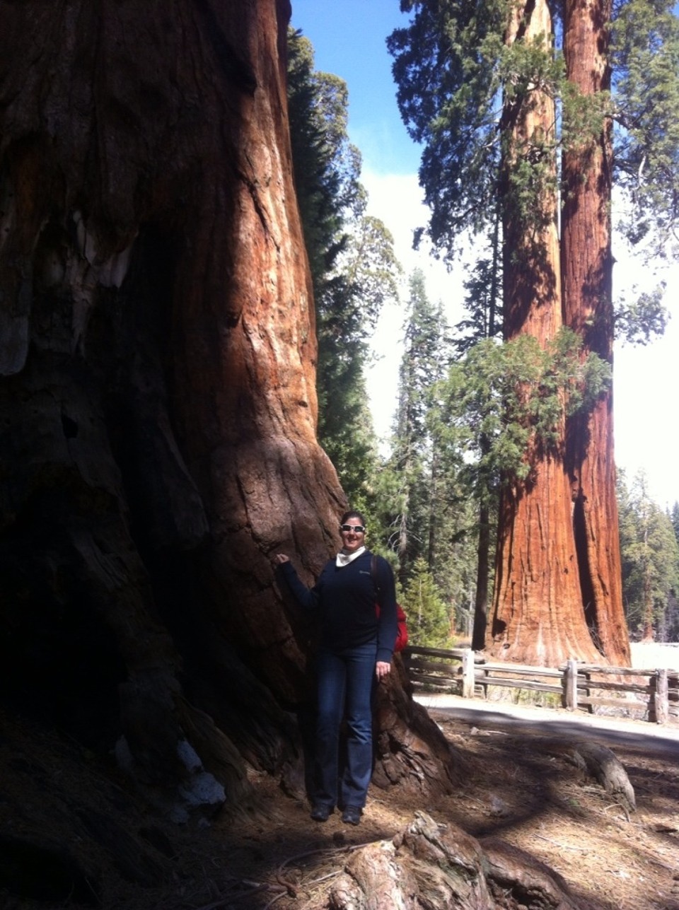 Egyesült Államok - Sequoia National Park - 