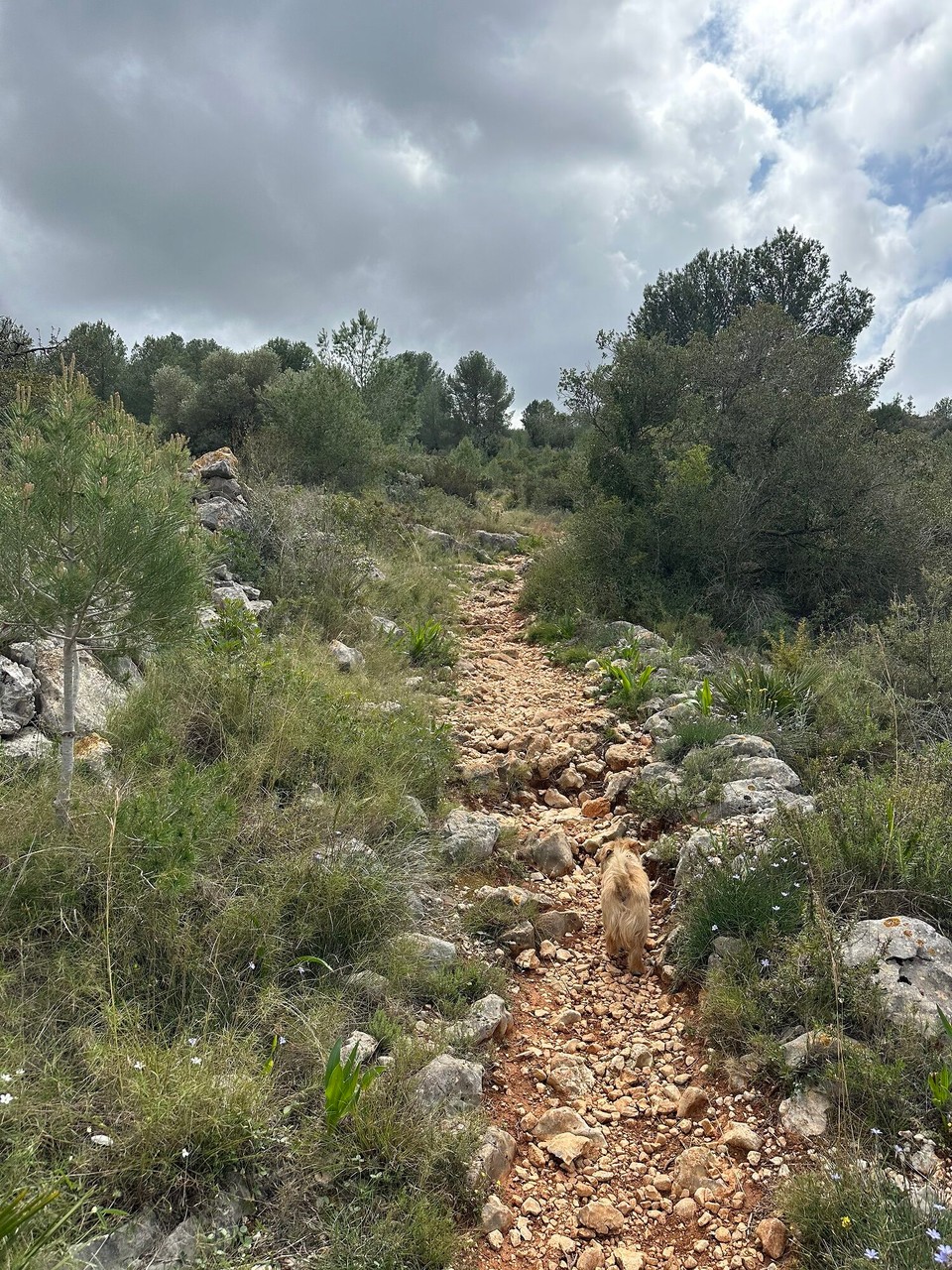 Spanien - Gata de Gorgos - 