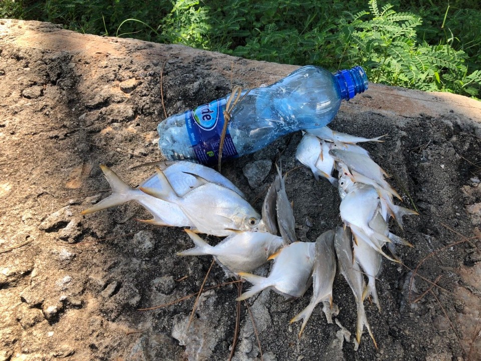 Kenia - Diani Beach - Die Beute von den Fischer-Jungs. 
Zuhaus bekommen sie leider nichts zum Essen,... dafür fehlt den Familien das nötige Kleingeld. 
So lernen Kinder schon unfassbar früh Selbstversorger zu werden.
