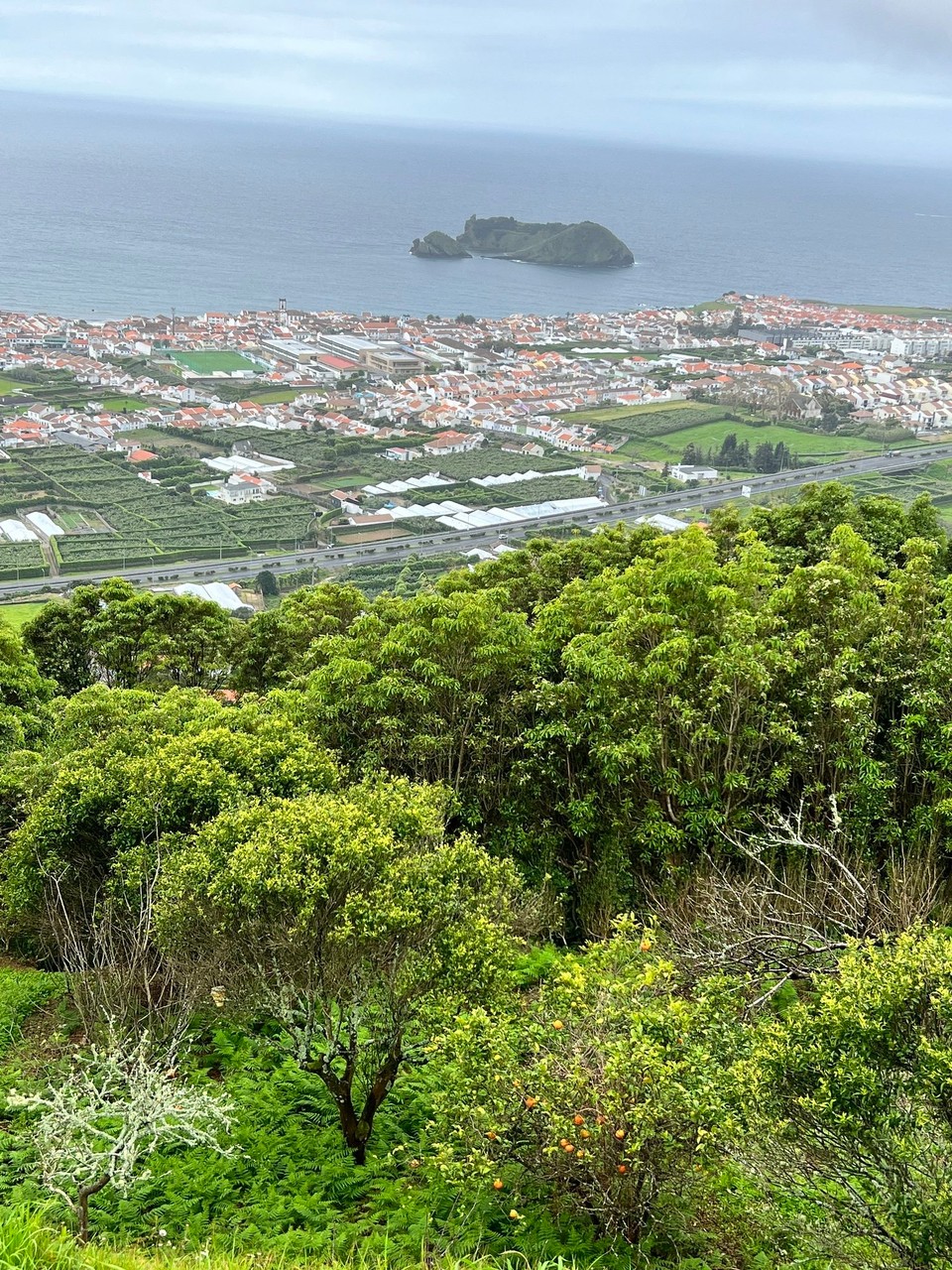 Portugal - Ponta Delgada - Blick auf einen Vulkan, in dem man im Sommer schwimmen kann