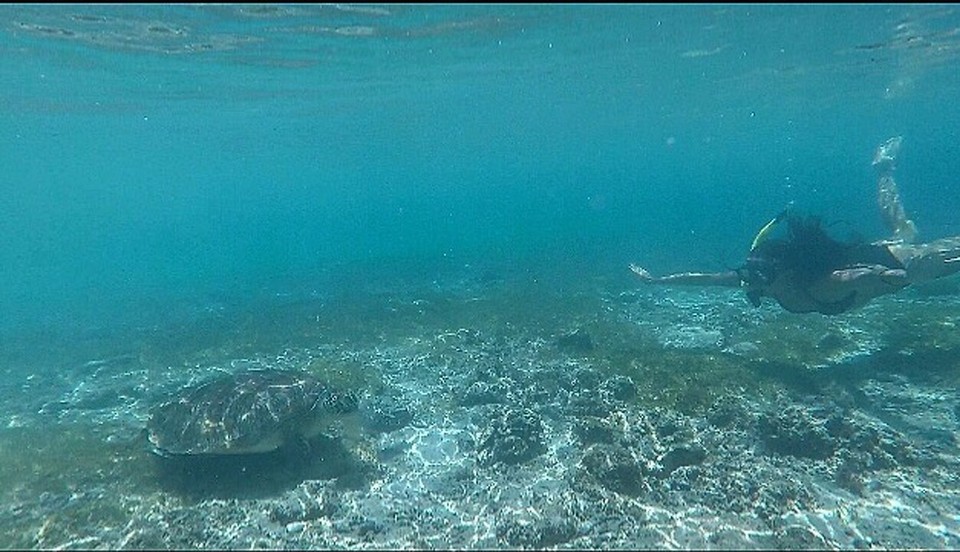 Indonesien - Lombok Utara - 💜💜
