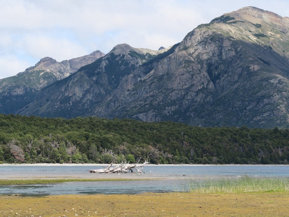 Argentina - Esquel - Dans le parc de los alerces