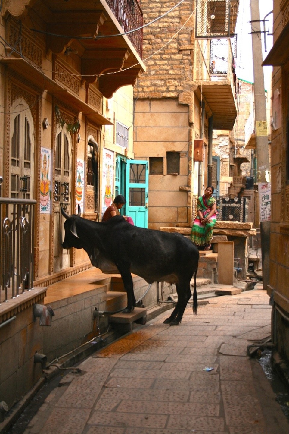 Jaisalmer - Jaisalmer - 