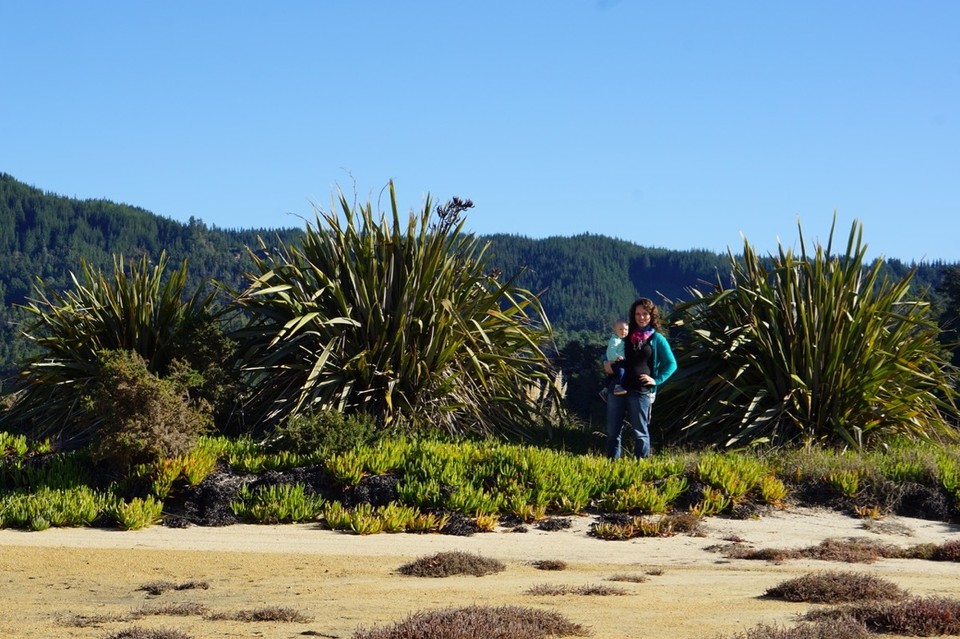 Neuseeland - Takaka - 