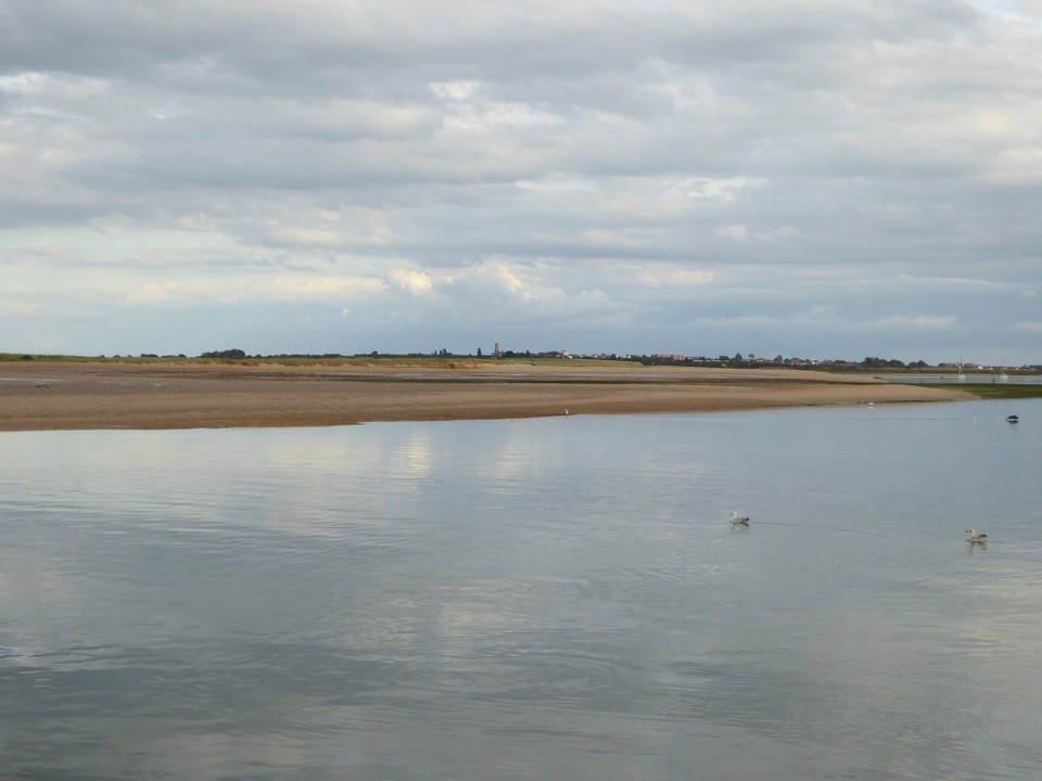 United Kingdom - Walton On The Naze - The sight and sound of so many seabirds was wonderful.