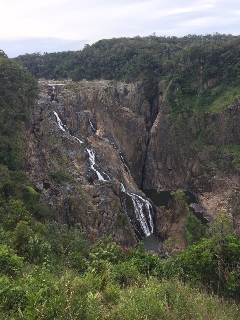 Australien - Mareeba - 