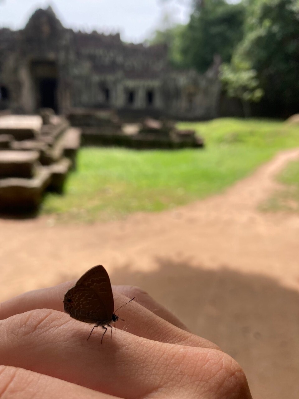 Kambodscha - Siem Reap - Preah Khan