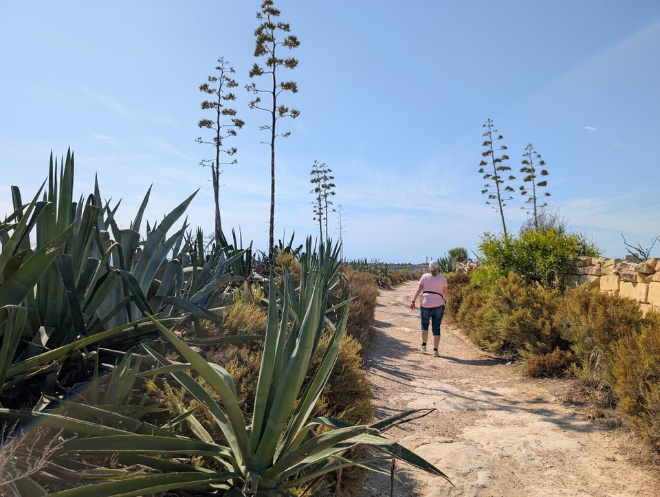 Malta - Marsaskala - 