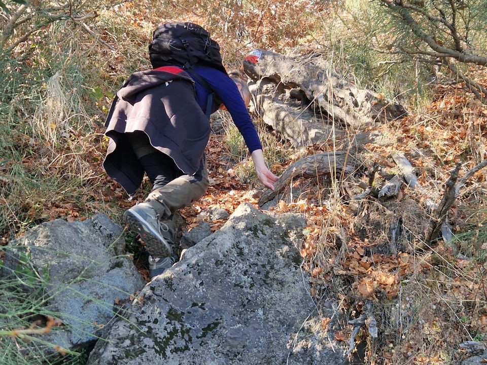 Italien - Zafferana Etnea - manchmal auf allen vieren