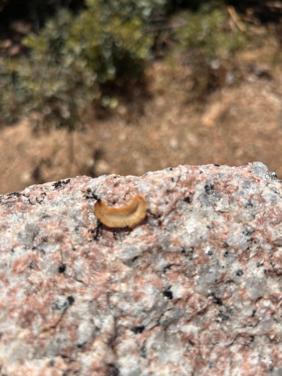 Frankreich - Bonifacio - 