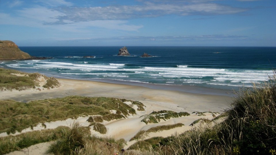 Neuseeland - Dunedin - Sandfly Bay