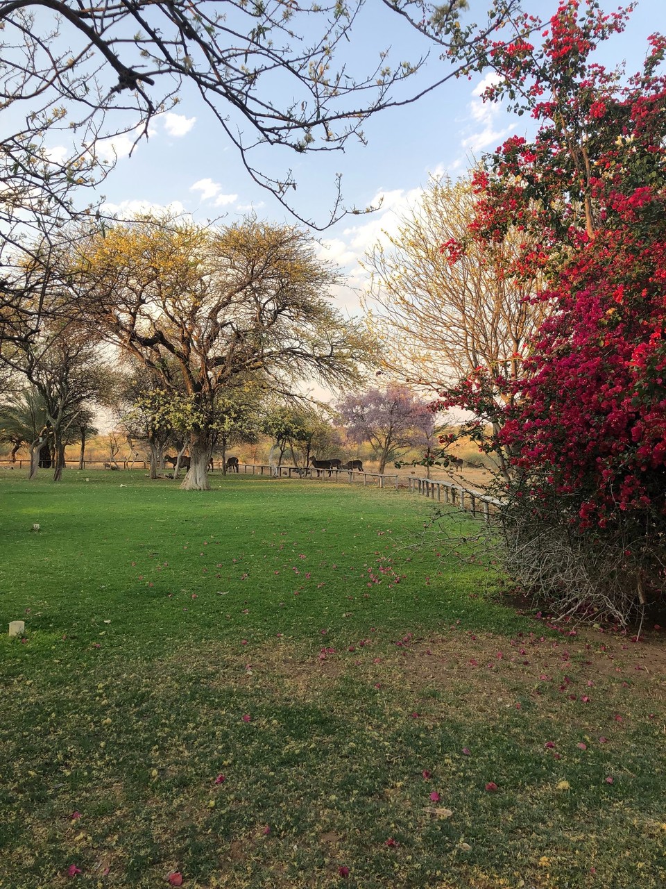 Namibia - Gobabis - 