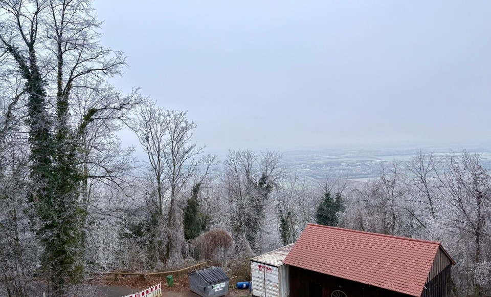 Deutschland - Zwingenberg - 