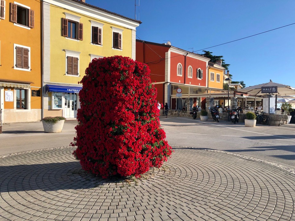 Kroatien - Novigrad - 
