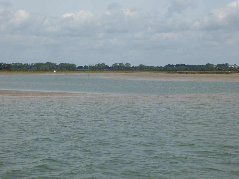 United Kingdom - Felixstowe - Oakley Creek, with seals snoozing on the banks….