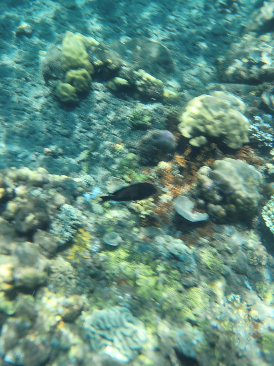Indonesien - Amed Beach - 