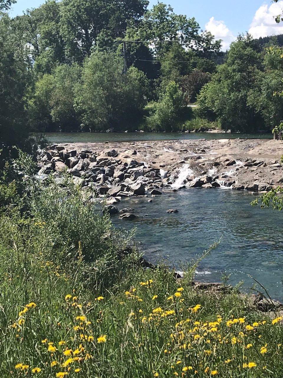 Deutschland - Füssen - An der Iller entlang...