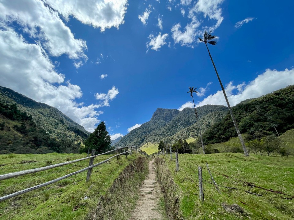Kolumbien - Salento - 