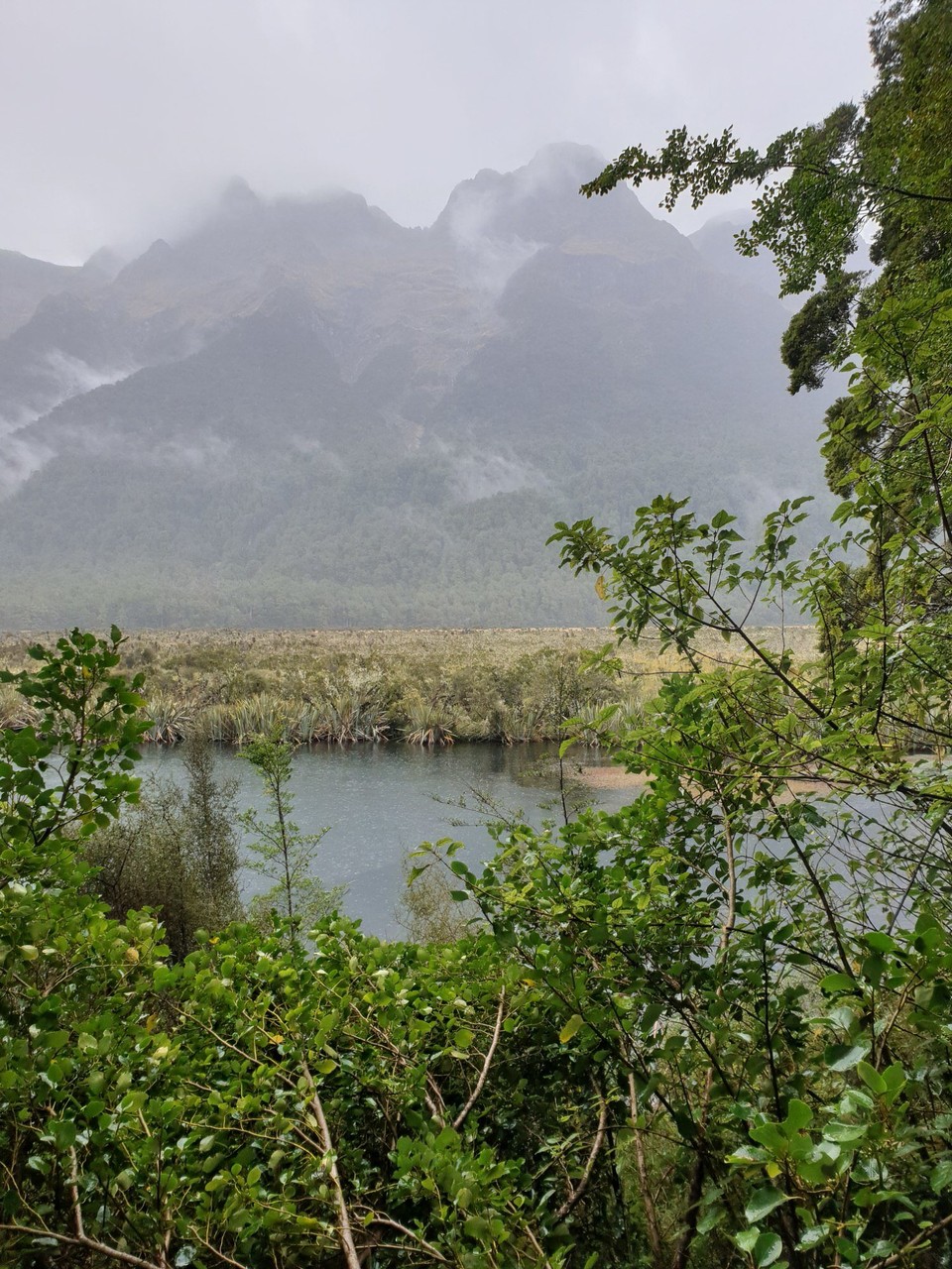 Neuseeland - Te Anau - 
