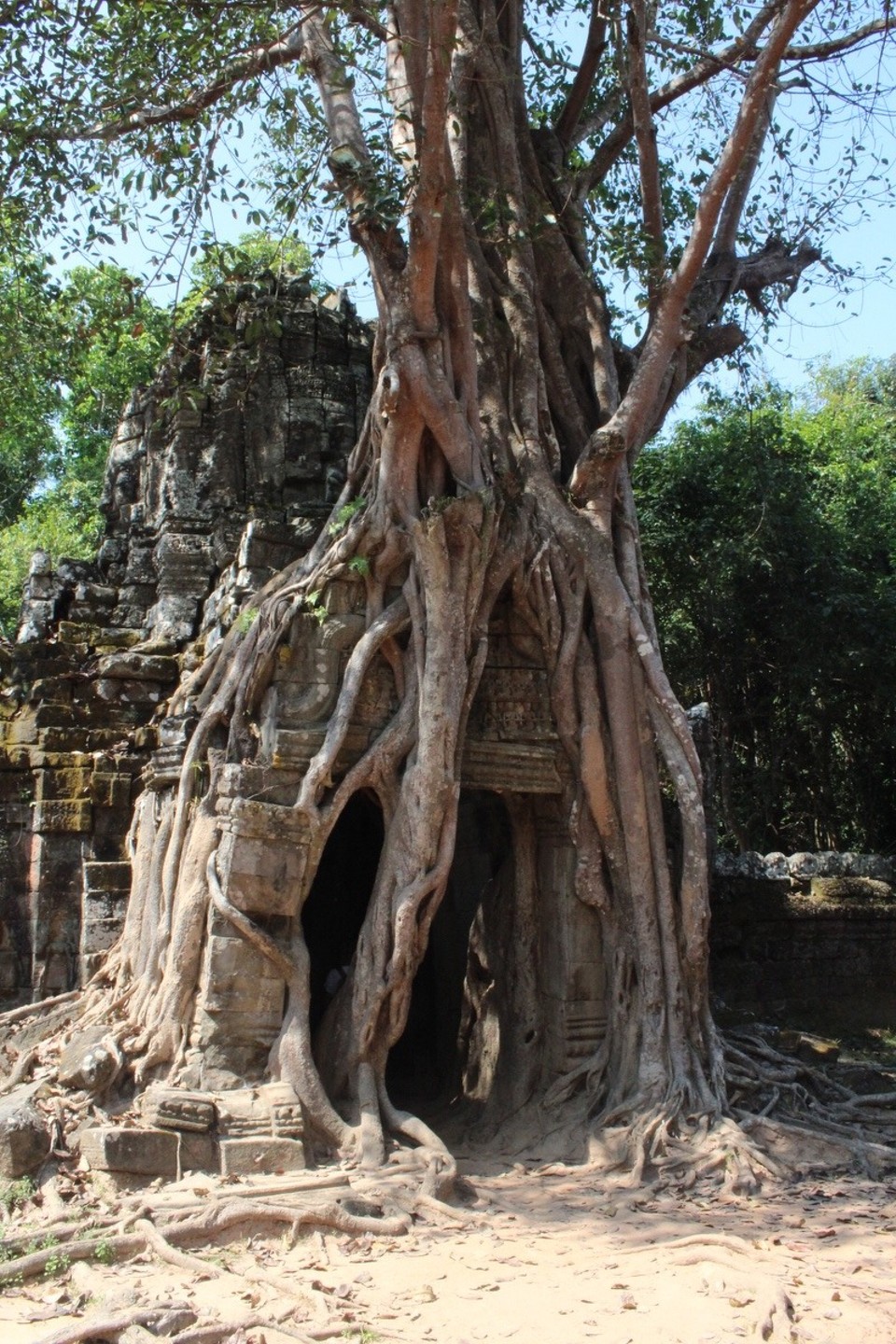 Kambodscha -  - 