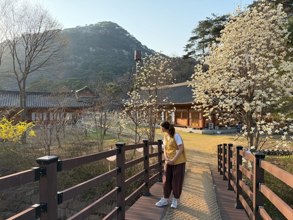 대한민국 -  - 