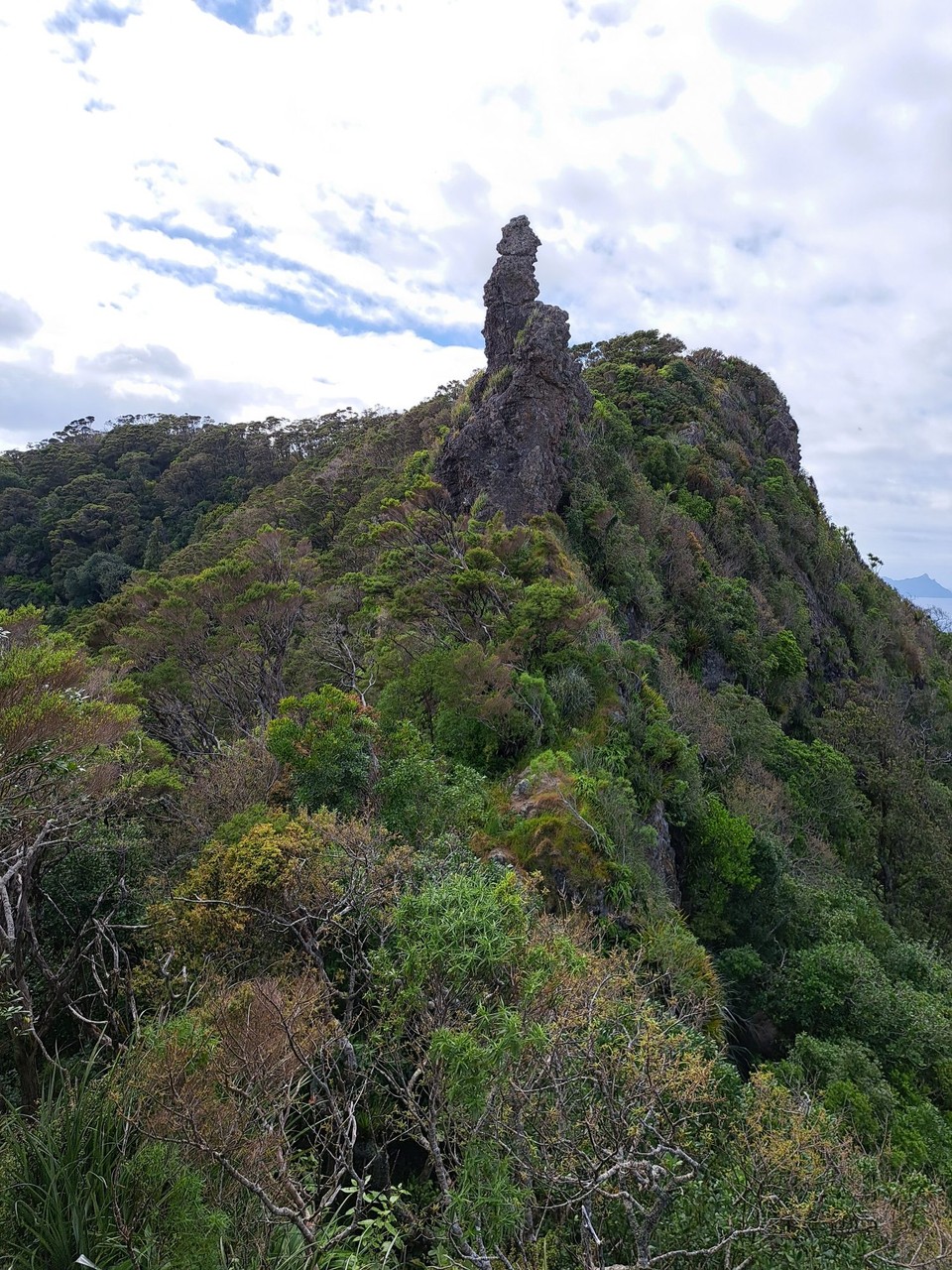 Neuseeland - Ruakākā - Der höchste Punkt ist 475m