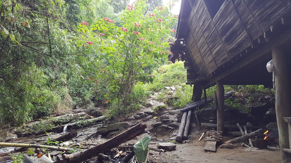 Thailand - Ban Luang - 
