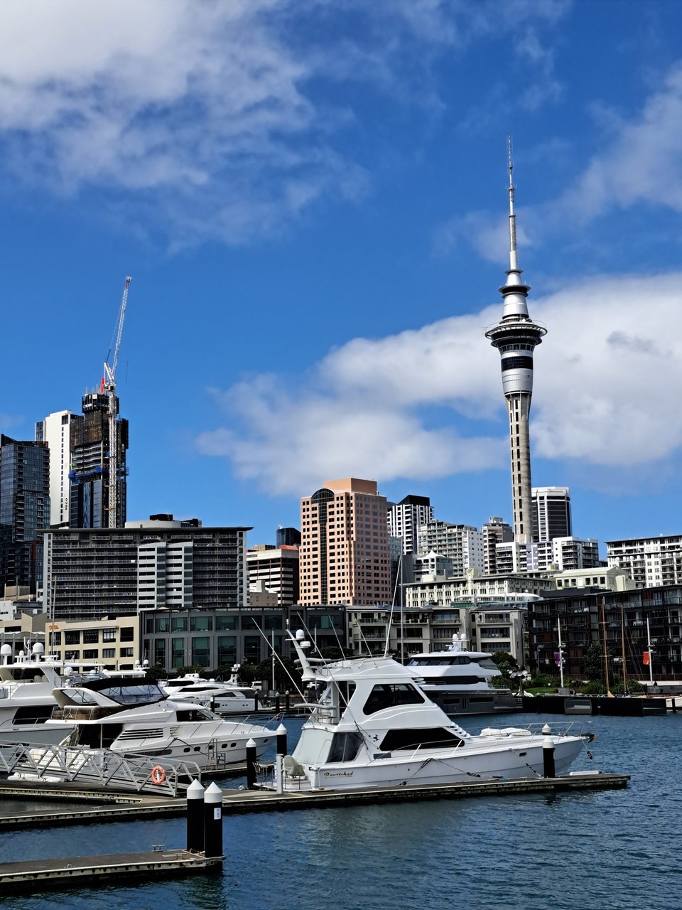 Neuseeland - Auckland - 
