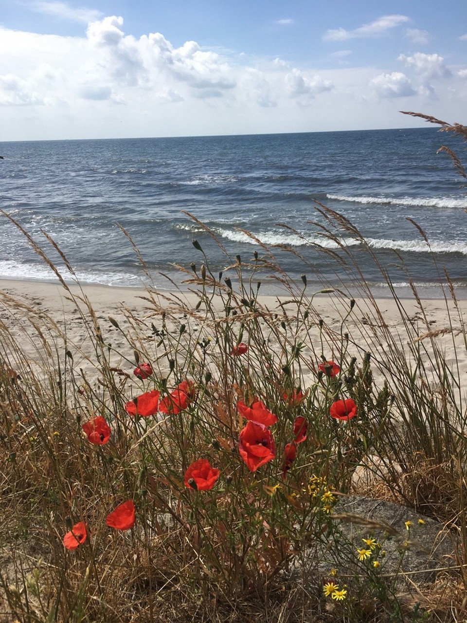 Schweden - Löderup - 